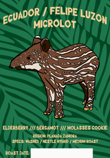 Ecuador / Felipe Luzon Microlot