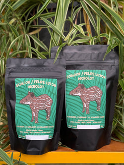 Ecuador / Felipe Luzon Microlot