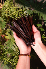 Organic Vanilla Bean Grade A